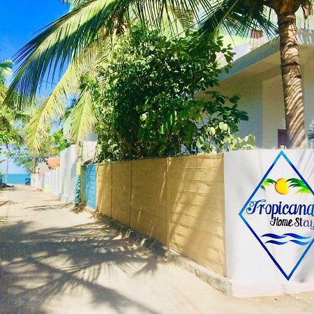 Tropicana Home Stay Arugam Bay Exteriér fotografie
